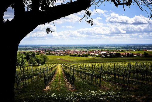 rheinland-pfalz-vereinsheimsurfing